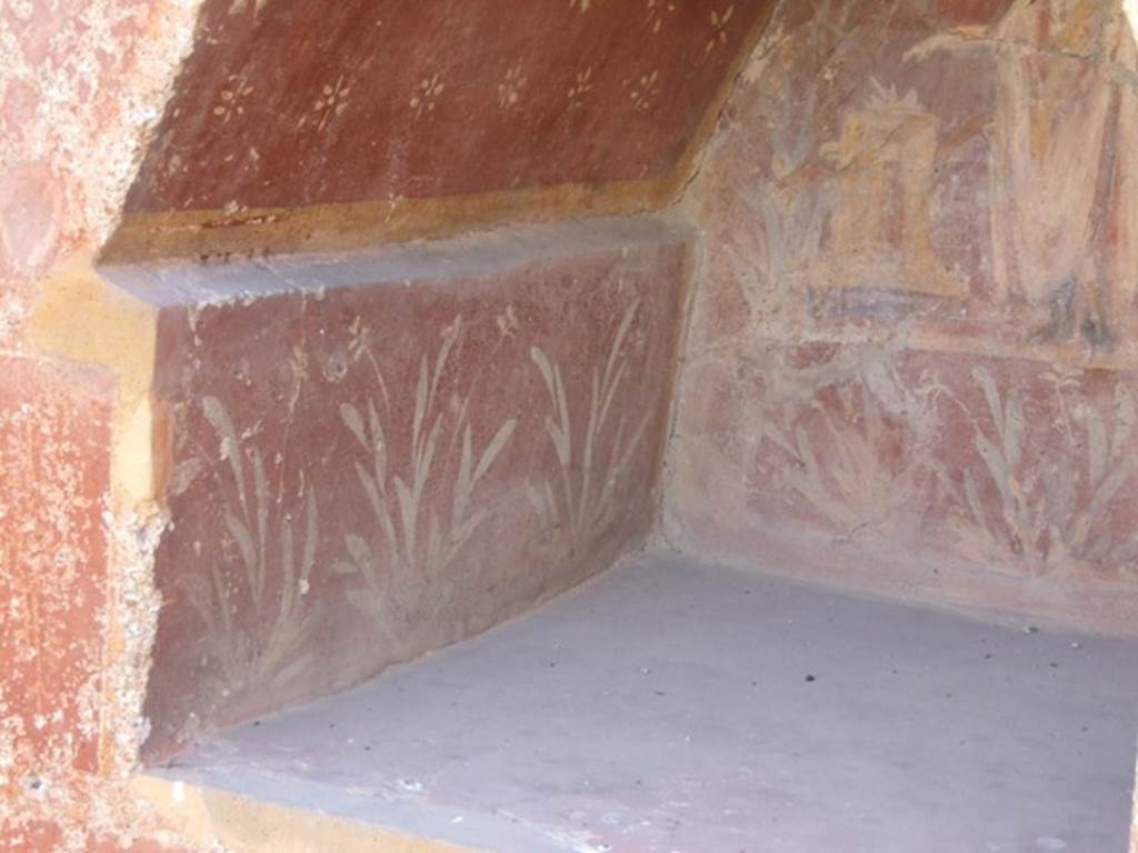 I.14.7 Pompeii. March 2009. Painted flowers and plants on the east side of the Lararium niche.
