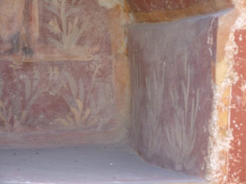 I.14.7 Pompeii. March 2009. Painted flowers and plants on west side of niche.