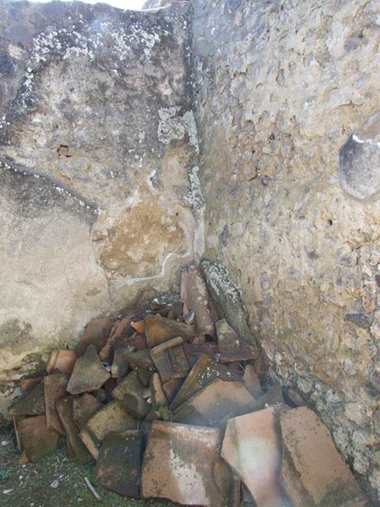 I.14.7 Pompeii. March 2009. Cubiculum on west side of entrance fauces. South west corner.