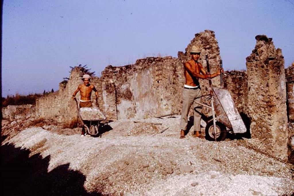 1.14.12, on right, Pompeii. 1972. Looking west along Via della PalestraI.14. Photo by Stanley A. Jashemski.
Source: The Wilhelmina and Stanley A. Jashemski archive in the University of Maryland Library, Special Collections (See collection page) and made available under the Creative Commons Attribution-Non Commercial License v.4. See Licence and use details. J72f0596