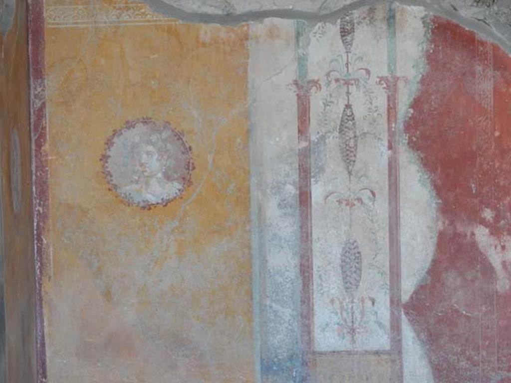 I.14.12, Pompeii. May 2018.
Room 34, looking towards north-east corner and medallion on east wall at north end. Photo courtesy of Buzz Ferebee.