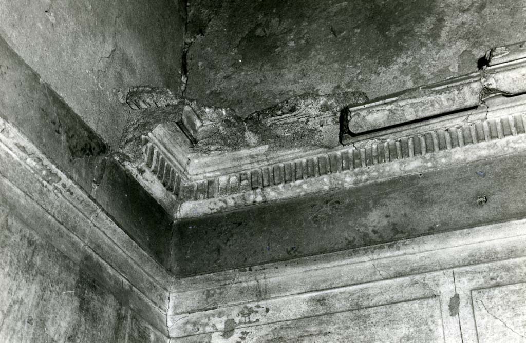 I.15.1 Pompeii. 1981. House, cubiculum 3, room on west side of entrance corridor, NE corner, detail of moulding. Photo courtesy of Anne Laidlaw.
American Academy in Rome, Photographic Archive. Laidlaw collection _P_81_2_12.