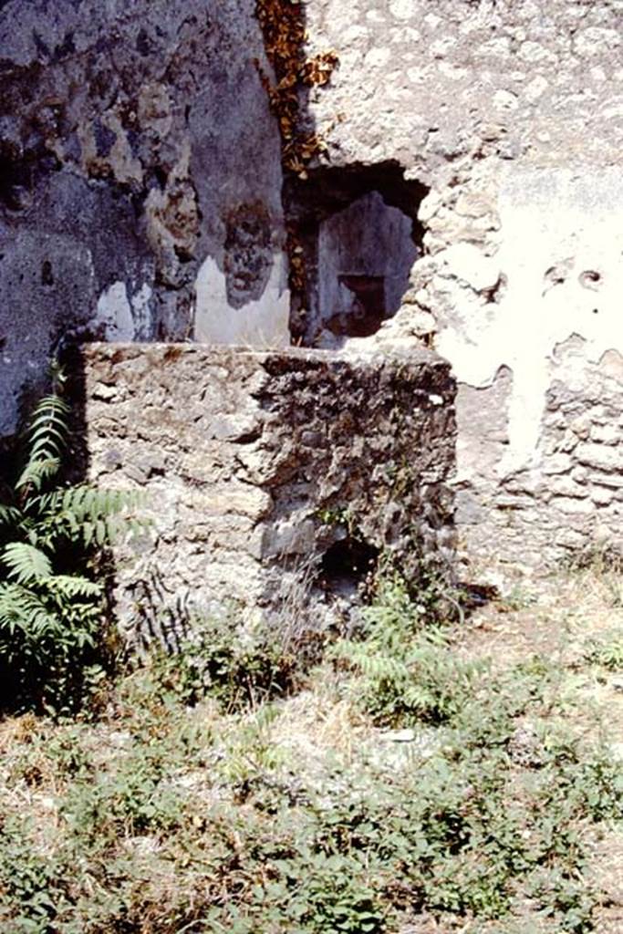 I.15.1 Pompeii. 1972. Detail of wall of latrine in north-west corner of room. Photo by Stanley A. Jashemski.
Source: The Wilhelmina and Stanley A. Jashemski archive in the University of Maryland Library, Special Collections (See collection page) and made available under the Creative Commons Attribution-Non Commercial License v.4. See Licence and use details. J72f0648