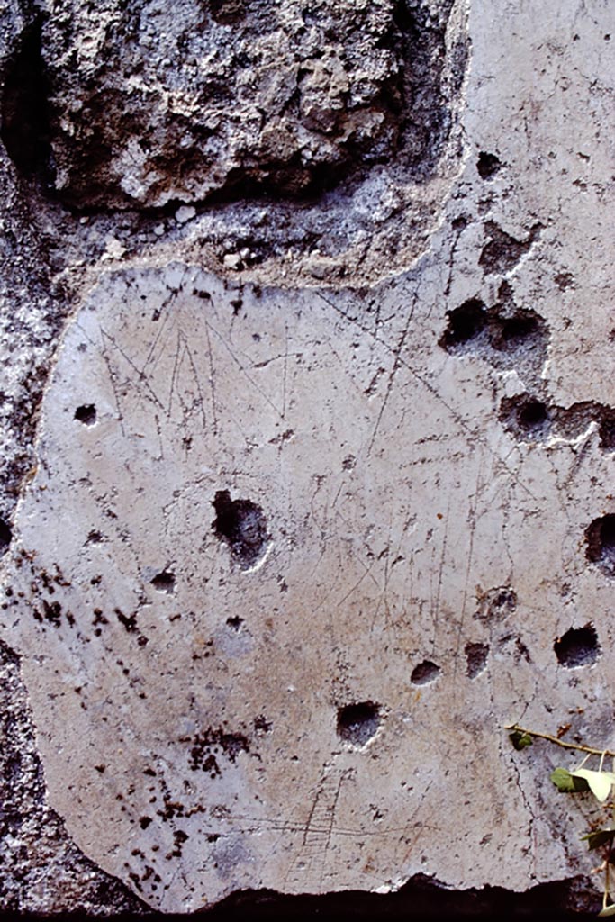 I.15.1 Pompeii. 1972. Detail from west wall of latrine. Photo by Stanley A. Jashemski.
Source: The Wilhelmina and Stanley A. Jashemski archive in the University of Maryland Library, Special Collections (See collection page) and made available under the Creative Commons Attribution-Non-Commercial License v.4. See Licence and use details.
J72f0236