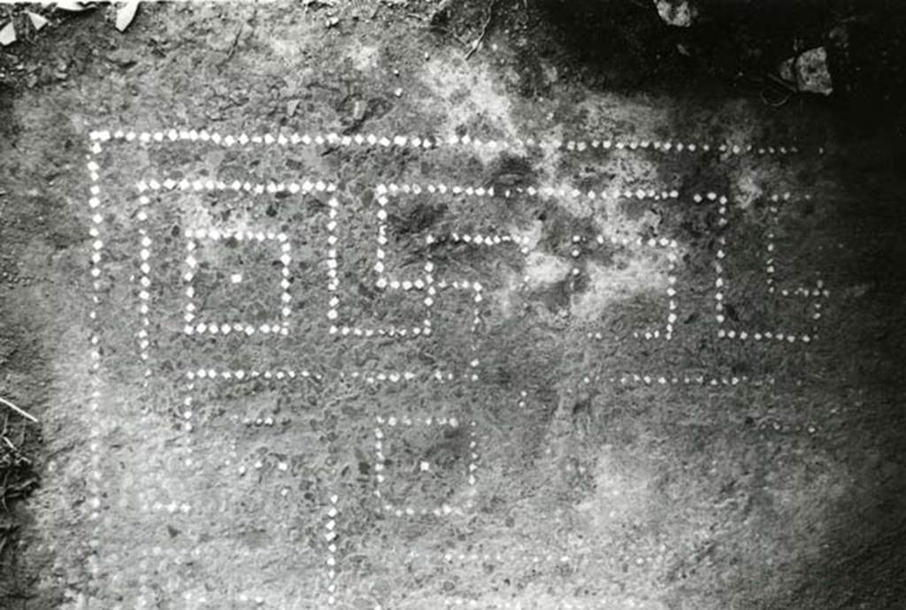 I.15.3 Pompeii. 1968. Room 6. House of Ship Europa, W cubiculum (rosettes), floor SE corner by door. Photo courtesy of Anne Laidlaw.
American Academy in Rome, Photographic Archive. Laidlaw collection _P_68_15_12.