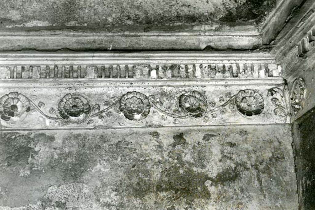 I.15.3 Pompeii. 1972. Room 6. House of Ship Europa, W cubiculum, back N wall, details of rosettes. Photo courtesy of Anne Laidlaw.
American Academy in Rome, Photographic Archive. Laidlaw collection _P_72_17_18.