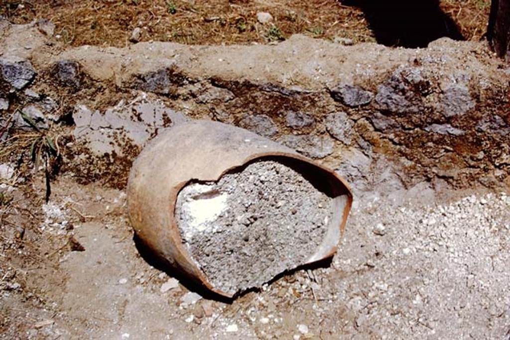 I.15.3 Pompeii. 1972. Peristyle 13. Pot filled with lapilli. Photo by Stanley A. Jashemski.
Source: The Wilhelmina and Stanley A. Jashemski archive in the University of Maryland Library, Special Collections (See collection page) and made available under the Creative Commons Attribution-Non Commercial License v.4. See Licence and use details. J72f0640