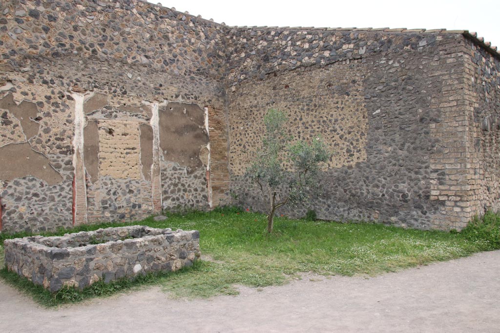 I.15.3 Pompeii. May 2024. Garden/vineyard, area 14. Looking north-east. Photo courtesy of Klaus Heese.