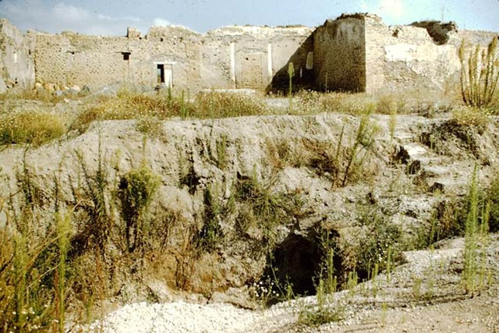 I.15.3 Pompeii. 1959. Looking north in garden 14 to a strange hole discovered with steps down into it. See Jashemski, W. F., 1993. The Gardens of Pompeii, Volume II: Appendices. New York: Caratzas. (p.63)
Photo by Stanley A. Jashemski.
Source: The Wilhelmina and Stanley A. Jashemski archive in the University of Maryland Library, Special Collections (See collection page) and made available under the Creative Commons Attribution-Non Commercial License v.4. See Licence and use details.
J59f0199