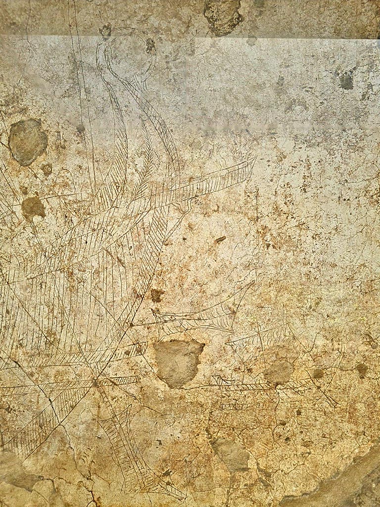 I.15.3 Pompeii. September 2024.
North wall of portico 10, detail from ship Europa. Photo courtesy of Giuseppe Ciaramella.