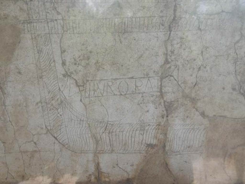 I.15.3 Pompeii. May 2015. North wall of portico 10, detail of the name Europa.
Photo courtesy of Buzz Ferebee.