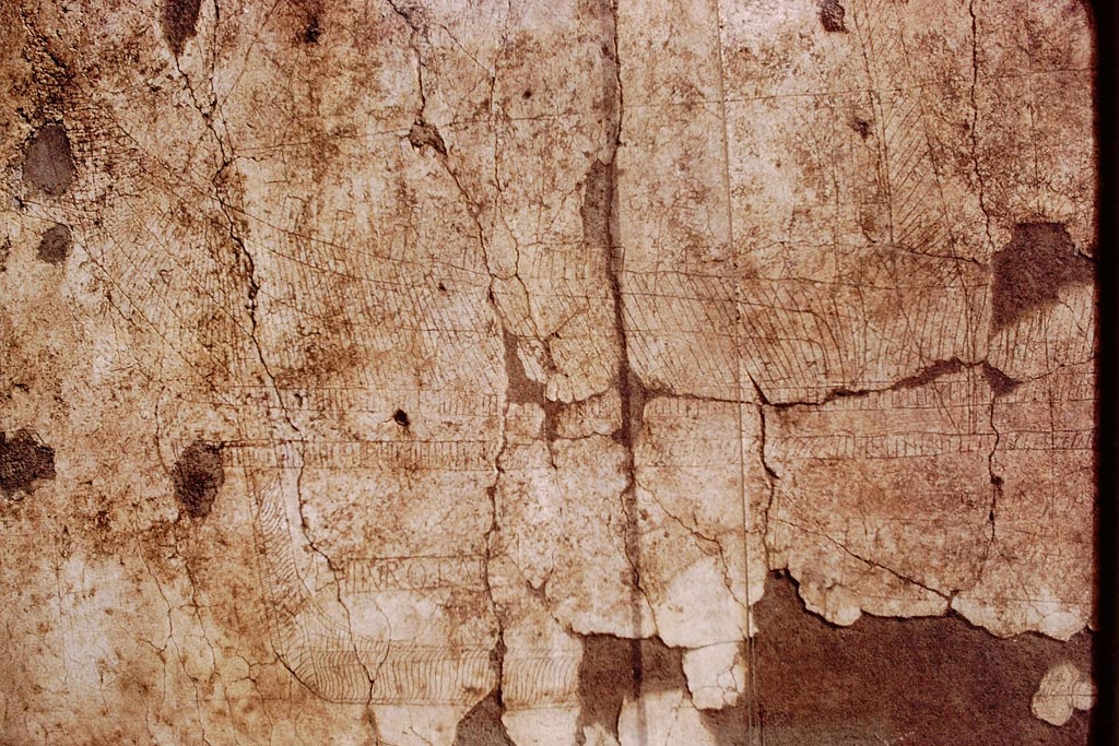 I.15.3 Pompeii. 1972. North wall of portico 10. Ship with name Europa. Photo by Stanley A. Jashemski.
Source: The Wilhelmina and Stanley A. Jashemski archive in the University of Maryland Library, Special Collections (See collection page) and made available under the Creative Commons Attribution-Non-Commercial License v.4. See Licence and use details.
J72f0127