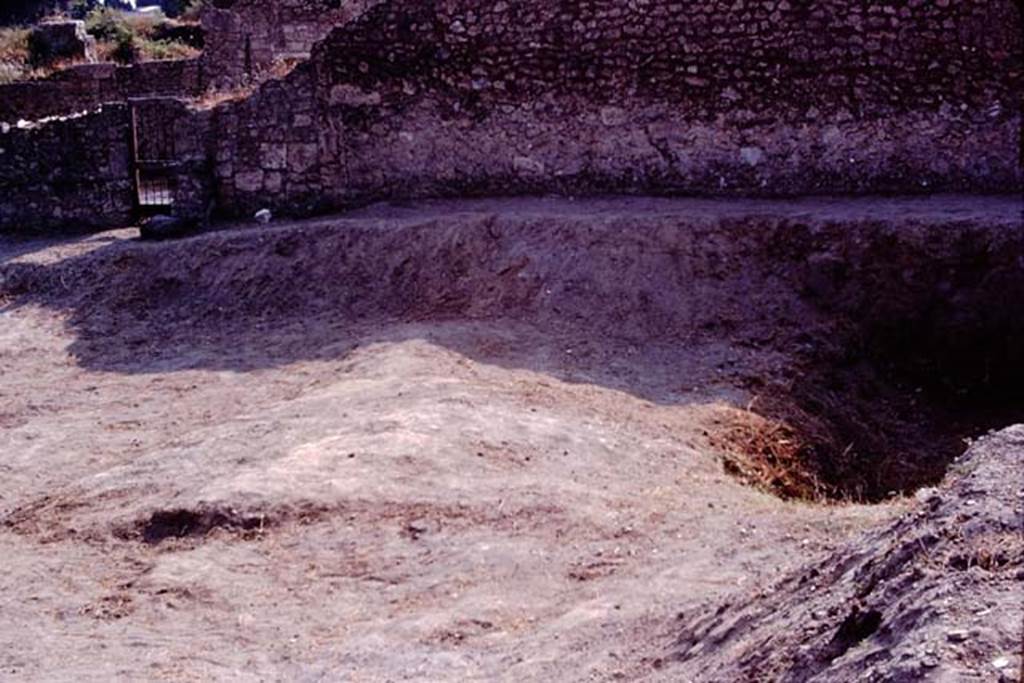 I.15.3 Pompeii. 1974. Looking towards west wall. Photo by Stanley A. Jashemski.   
Source: The Wilhelmina and Stanley A. Jashemski archive in the University of Maryland Library, Special Collections (See collection page) and made available under the Creative Commons Attribution-Non Commercial License v.4. See Licence and use details. J74f0516
