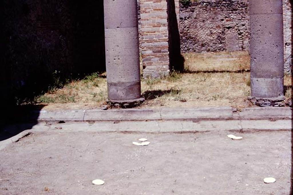 I.16.2 Pompeii. 1974. Looking towards north-west corner of peristyle with filled, marked, root cavities. Photo by Stanley A. Jashemski.
Source: The Wilhelmina and Stanley A. Jashemski archive in the University of Maryland Library, Special Collections (See collection page) and made available under the Creative Commons Attribution-Non Commercial License v.4. See Licence and use details. J74f0723