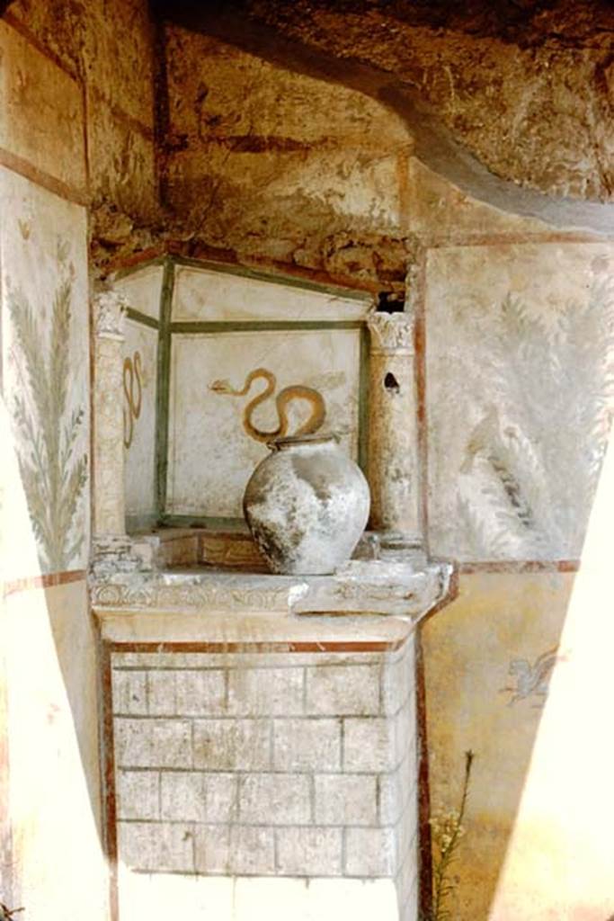 I.16.4 Pompeii. 1959. Lararium, with detail of garden painting on the north wall, and flying horse. Photo by Stanley A. Jashemski.
Source: The Wilhelmina and Stanley A. Jashemski archive in the University of Maryland Library, Special Collections (See collection page) and made available under the Creative Commons Attribution-Non Commercial License v.4. See Licence and use details.
J59f0218