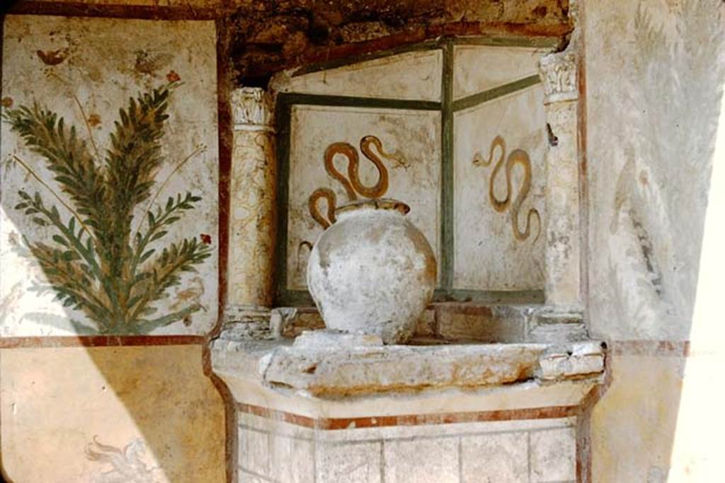 I.16.4 Pompeii. 1959. Lararium, with detail of garden painting on the west wall, and flying horse in the panel below. Photo by Stanley A. Jashemski.
Source: The Wilhelmina and Stanley A. Jashemski archive in the University of Maryland Library, Special Collections (See collection page) and made available under the Creative Commons Attribution-Non Commercial License v.4. See Licence and use details.
J59f0215