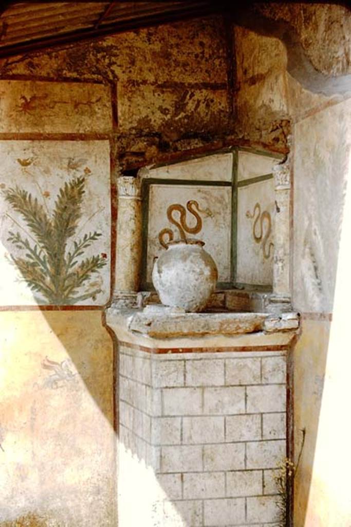 I.16.4 Pompeii. 1959. Lararium, with detail of garden painting in the north-west corner of the atrium. Photo by Stanley A. Jashemski.
Source: The Wilhelmina and Stanley A. Jashemski archive in the University of Maryland Library, Special Collections (See collection page) and made available under the Creative Commons Attribution-Non Commercial License v.4. See Licence and use details.
J59f0216