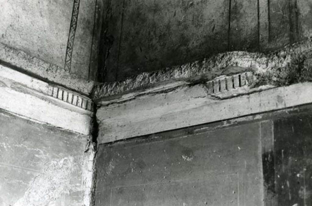 I.16.4 Pompeii. 1975. Tuscanic Atrium, detail of dentil cornice in NW corner of cubiculum on west side of fauces. Photo courtesy of Anne Laidlaw.
American Academy in Rome, Photographic Archive. Laidlaw collection _P_75_5_22.