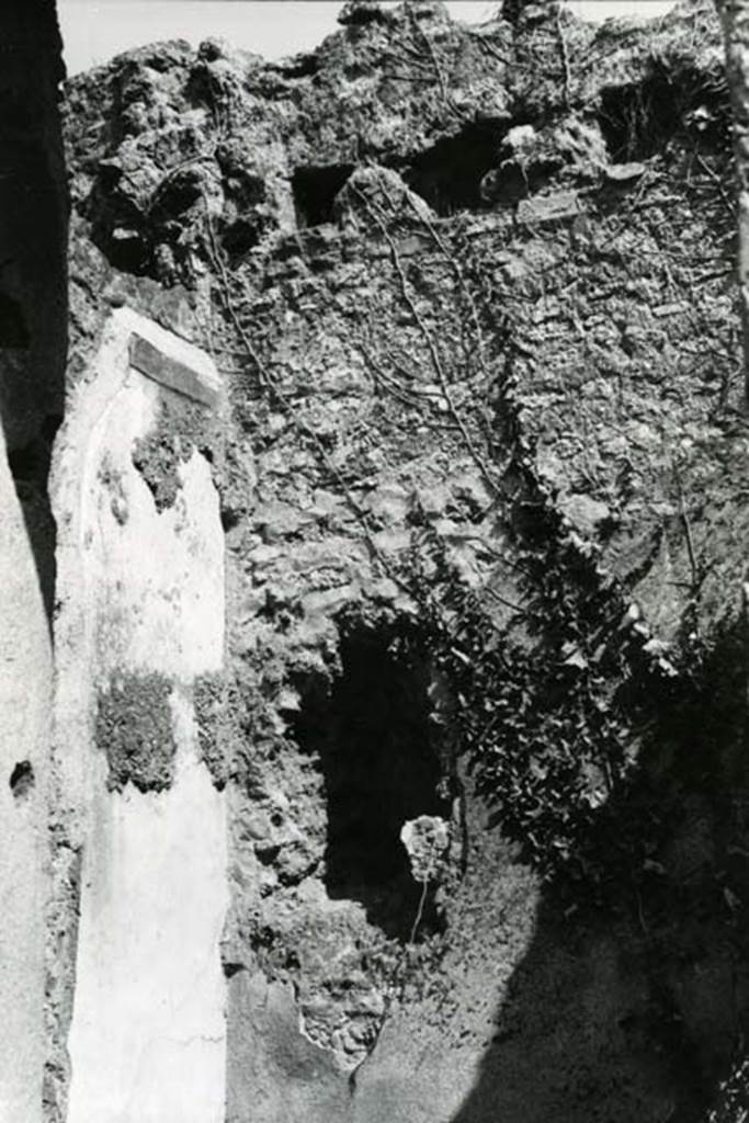 I.17.1 Pompeii. 1975. Tuscanic Atrium, third room left E of atrium, NE corner.
Photo courtesy of Anne Laidlaw.
American Academy in Rome, Photographic Archive. Laidlaw collection _P_75_5_25.