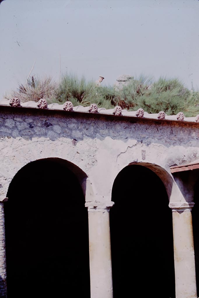 I.17.4 Pompeii. 1964.
Arches near north-west corner of peristyle. Photo by Stanley A. Jashemski.
Source: The Wilhelmina and Stanley A. Jashemski archive in the University of Maryland Library, Special Collections (See collection page) and made available under the Creative Commons Attribution-Non Commercial License v.4. See Licence and use details.
J64f1902
