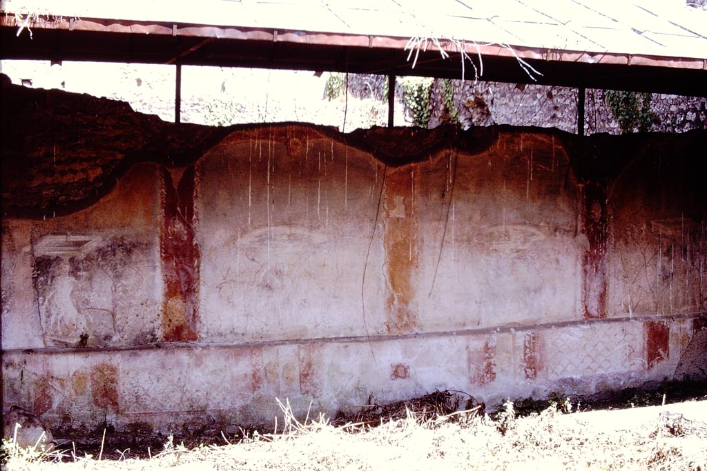 I.17.4 Pompeii. 1972. North wall of peristyle garden. Photo by Stanley A. Jashemski.
Source: The Wilhelmina and Stanley A. Jashemski archive in the University of Maryland Library, Special Collections (See collection page) and made available under the Creative Commons Attribution-Non Commercial License v.4. See Licence and use details.
J72f0135