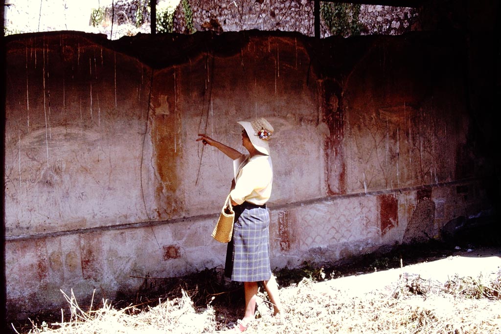 I.17.4 Pompeii. 1972. Wilhelmina studying the north wall. Photo by Stanley A. Jashemski.
Source: The Wilhelmina and Stanley A. Jashemski archive in the University of Maryland Library, Special Collections (See collection page) and made available under the Creative Commons Attribution-Non Commercial License v.4. See Licence and use details.
J72f0136