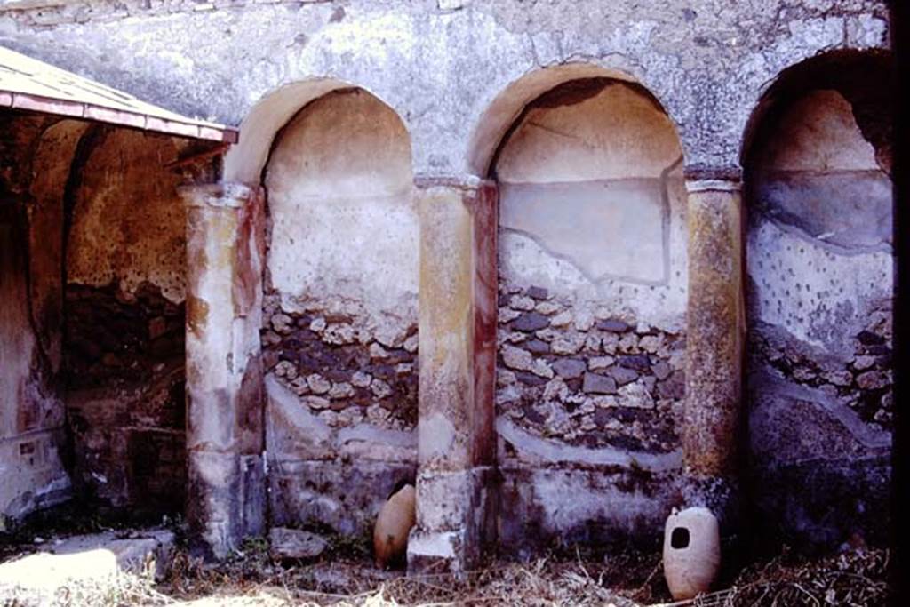 I.17.4 Pompeii. 1972. East wall of peristyle garden. Photo by Stanley A. Jashemski.
Source: The Wilhelmina and Stanley A. Jashemski archive in the University of Maryland Library, Special Collections (See collection page) and made available under the Creative Commons Attribution-Non Commercial License v.4. See Licence and use details. J72f0134
