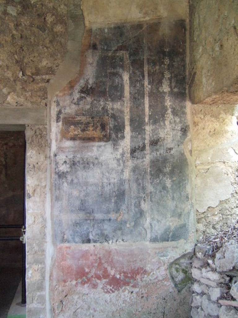 I.17.4 Pompeii. May 2006. Painted plaster in south west corner of peristyle.