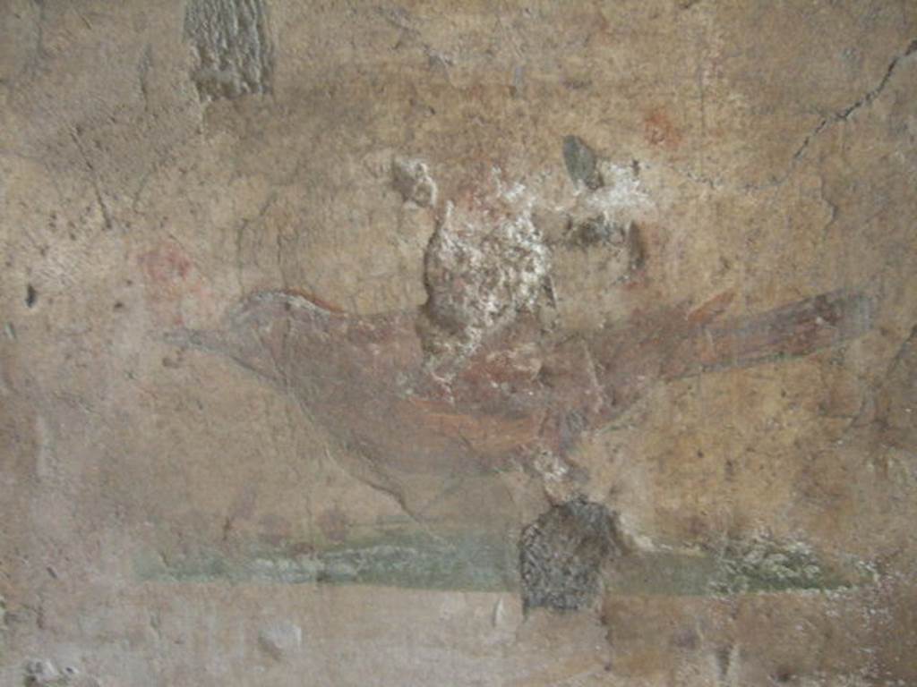 I.17.4 Pompeii. May 2006. Cubiculum in south west corner of peristyle. Painting of a bird.