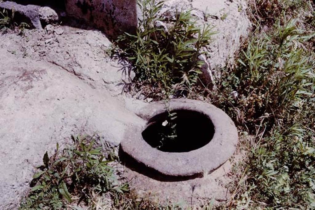 I.20.1 Pompeii. 1964. Large dolium buried in the soil at the edge of the soil near the small room. The juice from the trodden grapes would have flowed into this. Photo by Stanley A. Jashemski.
Source: The Wilhelmina and Stanley A. Jashemski archive in the University of Maryland Library, Special Collections (See collection page) and made available under the Creative Commons Attribution-Non Commercial License v.4. See Licence and use details.
J64f1282