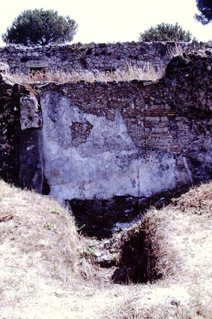 I.20.1 Pompeii. 1972. Remains of painted Lararium on east wall of vineyard, with steps to cellar. Photo by Stanley A. Jashemski.
Source: The Wilhelmina and Stanley A. Jashemski archive in the University of Maryland Library, Special Collections (See collection page) and made available under the Creative Commons Attribution-Non Commercial License v.4. See Licence and use details. J72f0560