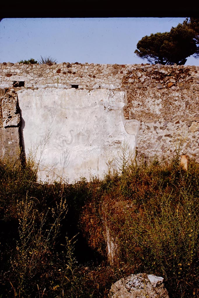 I.20.1 Pompeii. Pre-1961. East wall with remains of painted Lararium on east wall of vineyard, with steps to cellar. Photo by Stanley A. Jashemski.
Source: The Wilhelmina and Stanley A. Jashemski archive in the University of Maryland Library, Special Collections (See collection page) and made available under the Creative Commons Attribution-Non Commercial License v.4. See Licence and use details.
GPVA0211