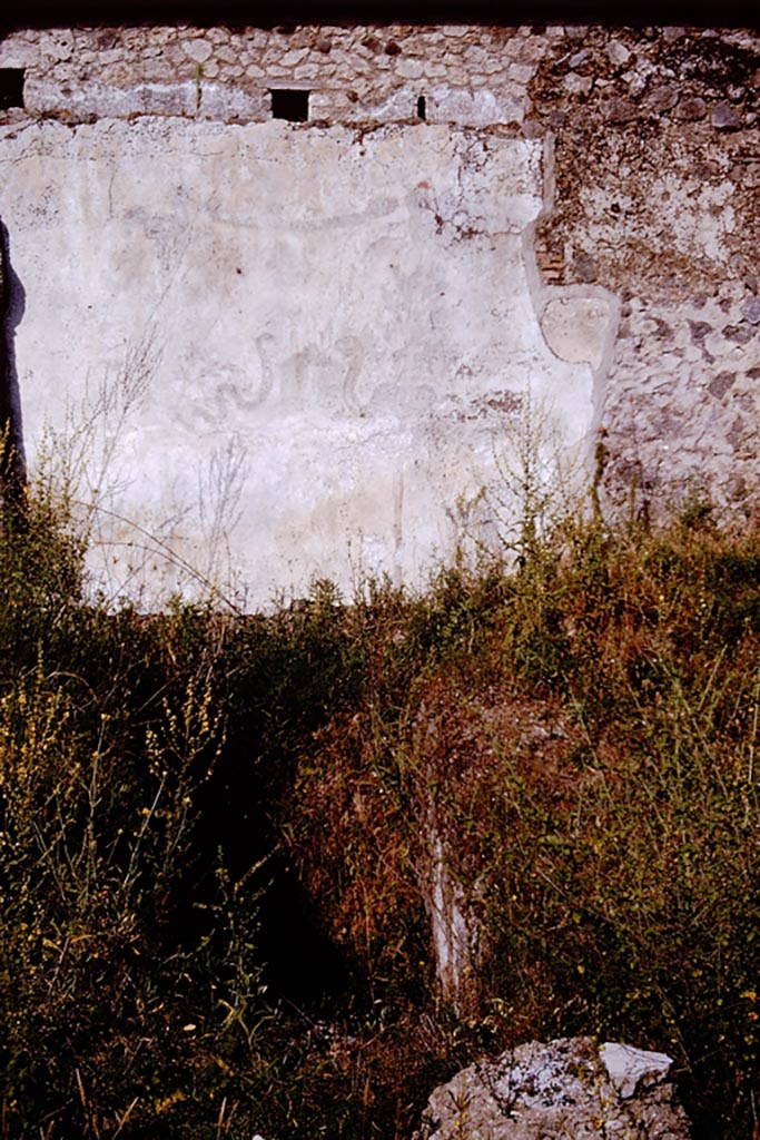I.20.1 Pompeii. Pre-1961. East wall with the remains of painted Lararium on east wall of vineyard, with steps to cellar in front.
Photo by Stanley A. Jashemski.
Source: The Wilhelmina and Stanley A. Jashemski archive in the University of Maryland Library, Special Collections (See collection page) and made available under the Creative Commons Attribution-Non Commercial License v.4. See Licence and use details.
GPVA0212
