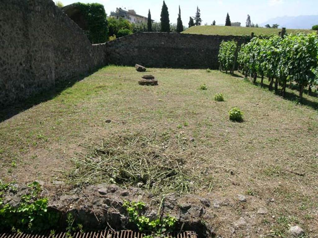 I.20.1 Pompeii. June 2005. Looking south across vineyard/garden area, with steps to underground wine store, now closed off. Photo courtesy of Nicolas Monteix.