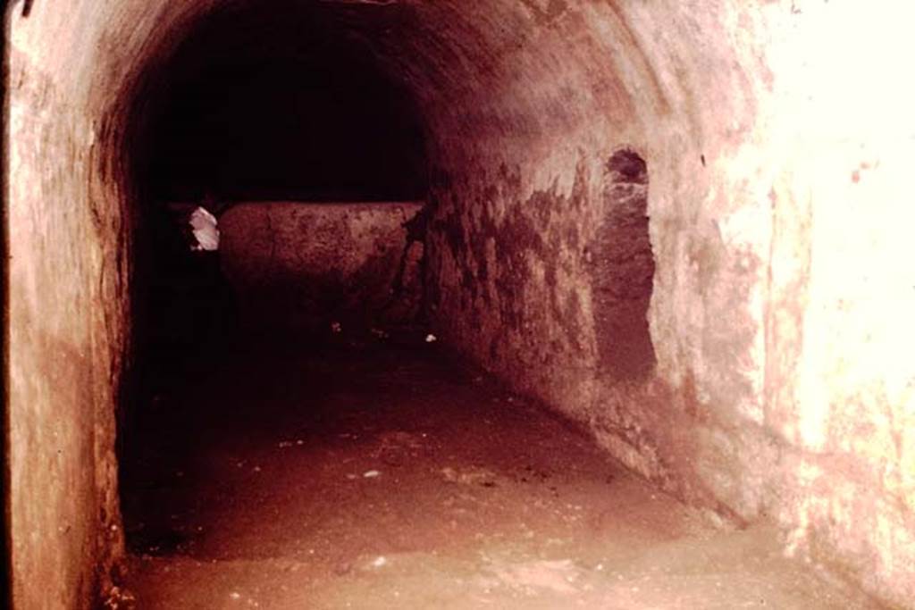 I.20.1 Pompeii. 1964 .Looking across wine cellar towards niche in wall. Photo by Stanley A. Jashemski.
Source: The Wilhelmina and Stanley A. Jashemski archive in the University of Maryland Library, Special Collections (See collection page) and made available under the Creative Commons Attribution-Non Commercial License v.4. See Licence and use details.
J64f1893