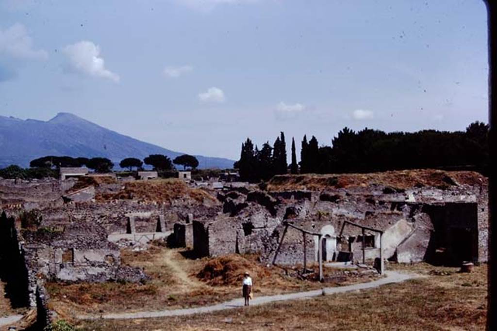 I.20.1 Pompeii. 1972. Looking north across insula with Wilhelmina near the triclinium. Photo by Stanley A. Jashemski.
Source: The Wilhelmina and Stanley A. Jashemski archive in the University of Maryland Library, Special Collections (See collection page) and made available under the Creative Commons Attribution-Non Commercial License v.4. See Licence and use details. J72f0215