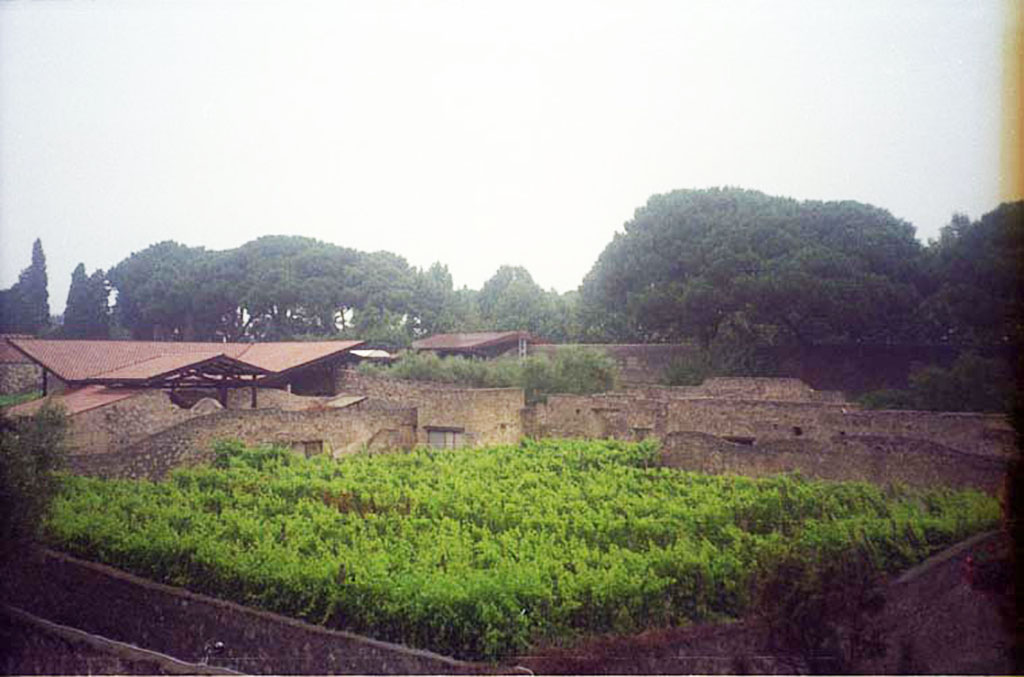 I.20.1 Pompeii. July 2011. Looking north-east across the vineyard of the Inn of the Gladiators.
Photo courtesy of Rick Bauer.