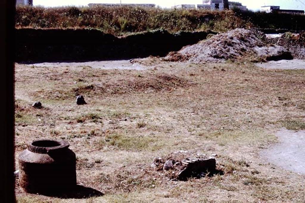I.20.1 Pompeii. 1972. Looking south-west across vineyard. Photo by Stanley A. Jashemski.
Source: The Wilhelmina and Stanley A. Jashemski archive in the University of Maryland Library, Special Collections (See collection page) and made available under the Creative Commons Attribution-Non Commercial License v.4. See Licence and use details. J72f0556