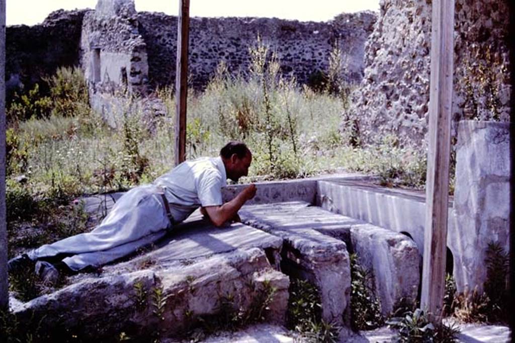 I.20.1 Pompeii. 1964. Using the triclinium, looking north-west. Photo by Stanley A. Jashemski.
Source: The Wilhelmina and Stanley A. Jashemski archive in the University of Maryland Library, Special Collections (See collection page) and made available under the Creative Commons Attribution-Non Commercial License v.4. See Licence and use details.
J64f1281