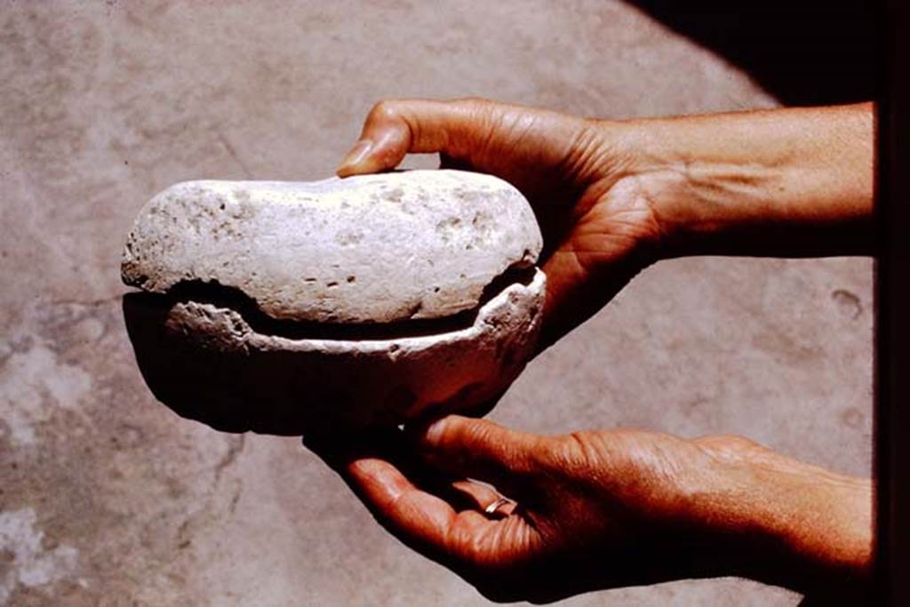 I.20.3 Pompeii. 1972. Example of two-halves of a mould, used to make the lamps found here. Photo by Stanley A. Jashemski.
Source: The Wilhelmina and Stanley A. Jashemski archive in the University of Maryland Library, Special Collections (See collection page) and made available under the Creative Commons Attribution-Non Commercial License v.4. See Licence and use details. J72f0116