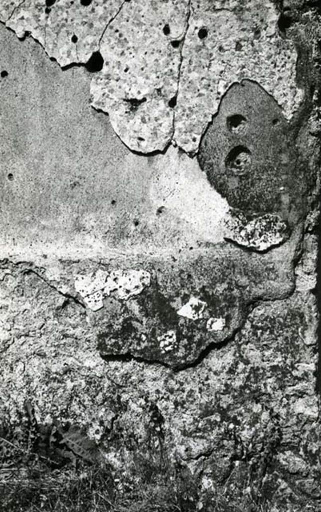 I.20.4 Pompeii. 1974. Shop House, room at NW corner, E wall, detail. Photo courtesy of Anne Laidlaw.
American Academy in Rome, Photographic Archive. Laidlaw collection _P_74_3_12.
