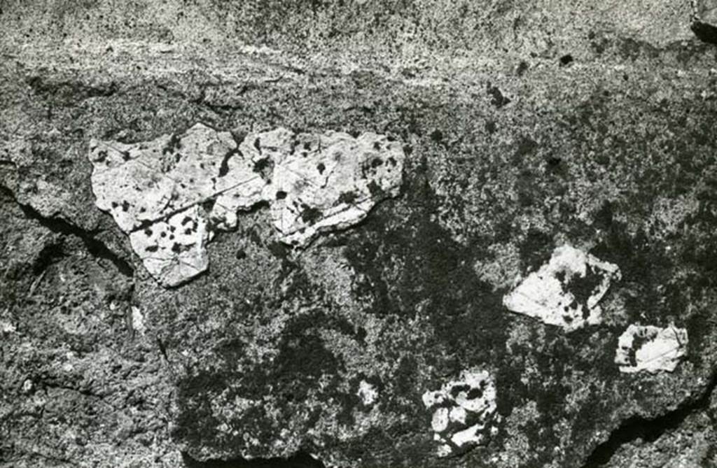 I.20.4 Pompeii. 1974. Shop House, room at NW corner, E wall, detail. Photo courtesy of Anne Laidlaw.
American Academy in Rome, Photographic Archive. Laidlaw collection _P_74_3_10.