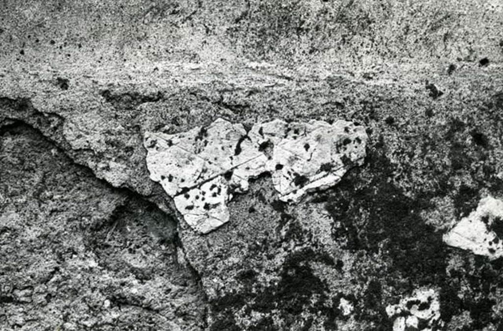 I.20.4 Pompeii. 1974. Shop House, room at NW corner, E wall, detail. Photo courtesy of Anne Laidlaw.
American Academy in Rome, Photographic Archive. Laidlaw collection _P_74_1_25.
