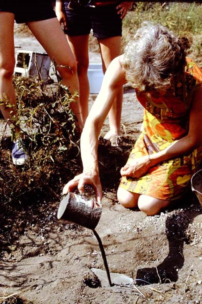 I.20.5 Pompeii. 1971. Pouring the cement into the root cavity. Photo by Stanley A. Jashemski.
Source: The Wilhelmina and Stanley A. Jashemski archive in the University of Maryland Library, Special Collections (See collection page) and made available under the Creative Commons Attribution-Non Commercial License v.4. See Licence and use details. J71f0176