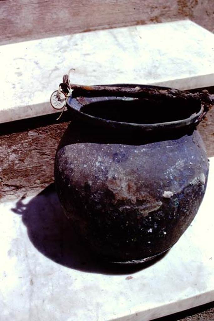 I.20.5 Pompeii. 1973. Object found. Photo by Stanley A. Jashemski.
Source: The Wilhelmina and Stanley A. Jashemski archive in the University of Maryland Library, Special Collections (See collection page) and made available under the Creative Commons Attribution-Non Commercial License v.4. See Licence and use details. J73f0277
See Cronache Pompeiane 1, 1975: Jashemski, W. The gardens of Pompeii, (p.69-71).