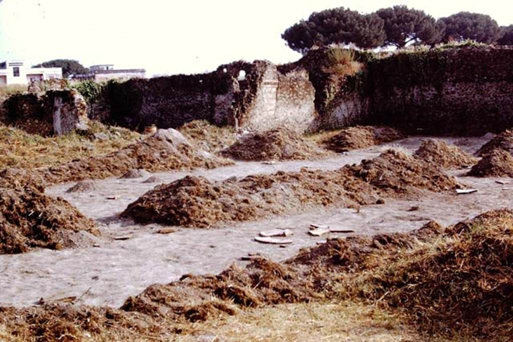I.20.5 Pompeii. 1972. Looking south-west across site of garden/vineyard during excavations. Photo by Stanley A. Jashemski.
Source: The Wilhelmina and Stanley A. Jashemski archive in the University of Maryland Library, Special Collections (See collection page) and made available under the Creative Commons Attribution-Non Commercial License v.4. See Licence and use details. J72f0078