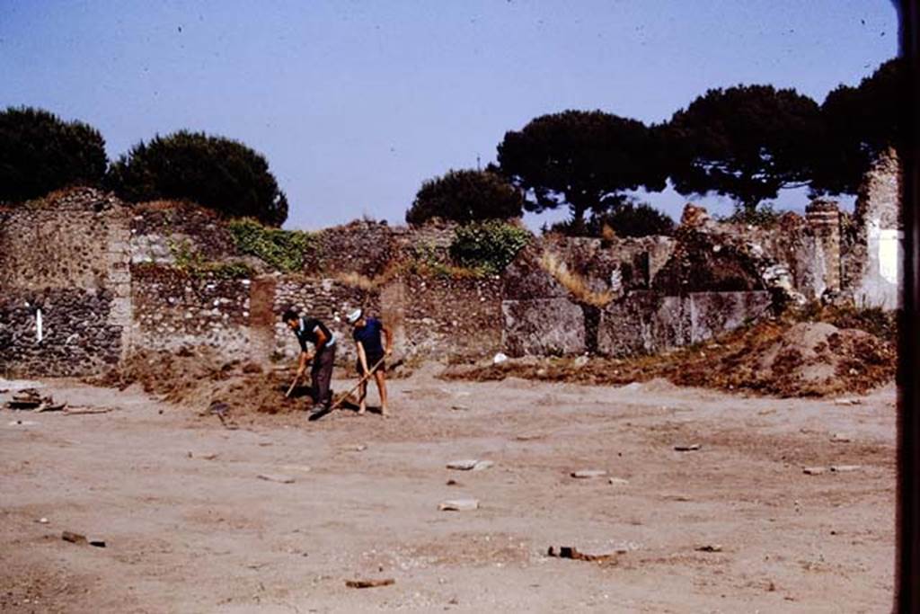 I.20.5 Pompeii. 1972. Looking towards south-east corner. Photo by Stanley A. Jashemski.
Source: The Wilhelmina and Stanley A. Jashemski archive in the University of Maryland Library, Special Collections (See collection page) and made available under the Creative Commons Attribution-Non Commercial License v.4. See Licence and use details. J72f0087