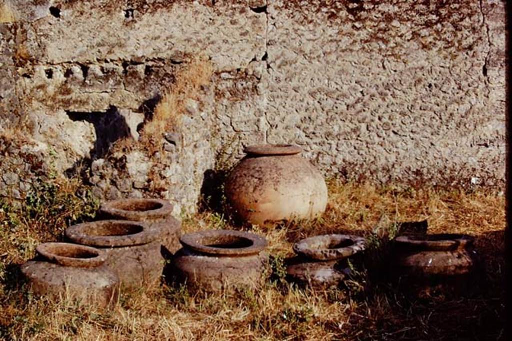 I.20.5 Pompeii. 1972. Dolia near east wall. Photo by Stanley A. Jashemski.
Source: The Wilhelmina and Stanley A. Jashemski archive in the University of Maryland Library, Special Collections (See collection page) and made available under the Creative Commons Attribution-Non Commercial License v.4. See Licence and use details. J72f0195
According to Wilhelmina, “the 8 dolia embedded in the garden and perhaps the one embedded in the rear shop would have been used for fermenting the must”.
See Jashemski, W. F., 1993. The Gardens of Pompeii, Volume II: Appendices. New York: Caratzas. (p.67)