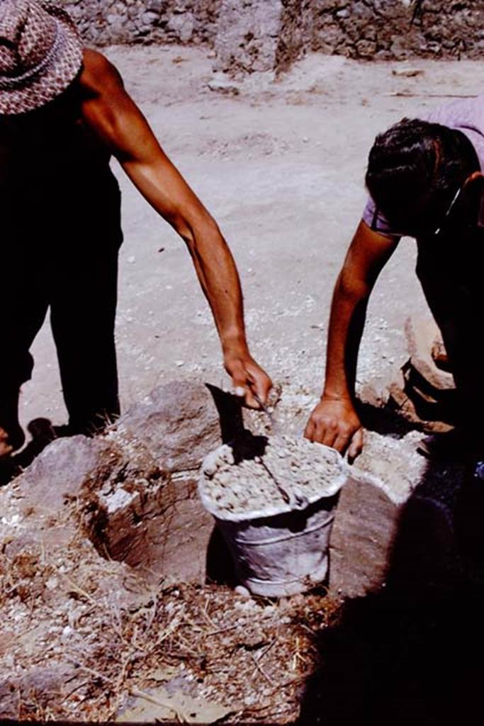 I.20.5 Pompeii. 1972. Emptying the cistern. Photo by Stanley A. Jashemski.
Source: The Wilhelmina and Stanley A. Jashemski archive in the University of Maryland Library, Special Collections (See collection page) and made available under the Creative Commons Attribution-Non Commercial License v.4. See Licence and use details. J72f0158