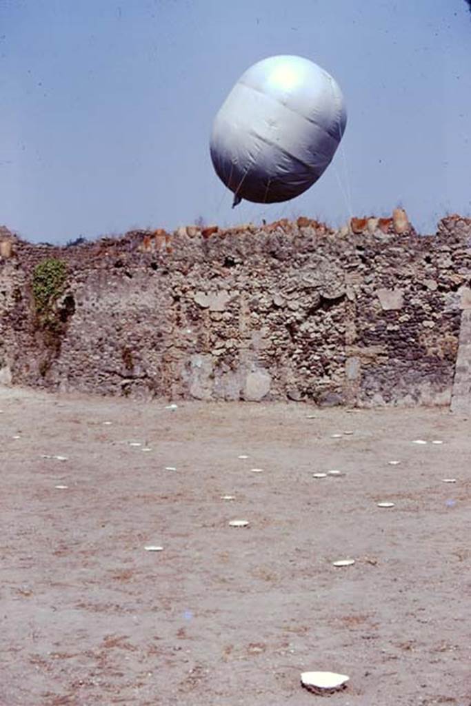 I.20.5 Pompeii. 1974. Looking across painted wooden discs identifying the root cavities, towards the north wall. The “balloon” was outside the wall in the Via della Palestra. Photo by Stanley A. Jashemski.
Source: The Wilhelmina and Stanley A. Jashemski archive in the University of Maryland Library, Special Collections (See collection page) and made available under the Creative Commons Attribution-Non Commercial License v.4. See Licence and use details. J74f0441